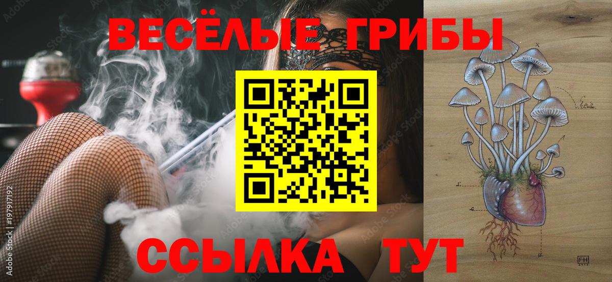 Псилоцибиновые грибы ЛСД  Вход с VPN  Россошь 